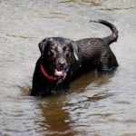 Easter swimming