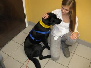 Black Lab with girl