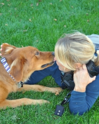 dog kissing lady