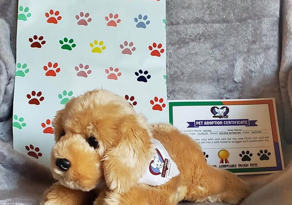 Adoption Certificate For Stuffed Animals