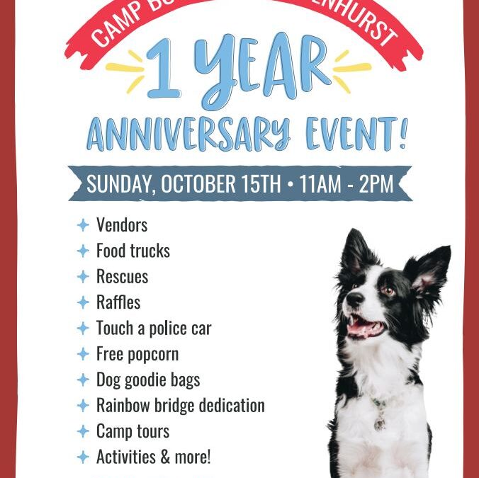 Camp Bow Wow 1 Yr Anniversery 10-15-23