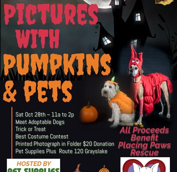 Halloween Pictures Pet Supplies Plus 10-28-23