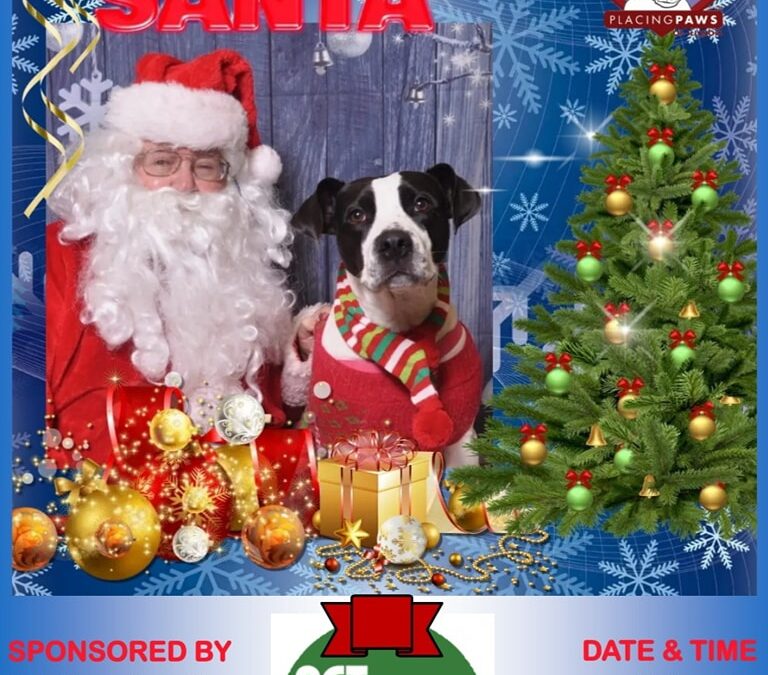 Santa Pictures Pet Supplies Plus 12-9-23