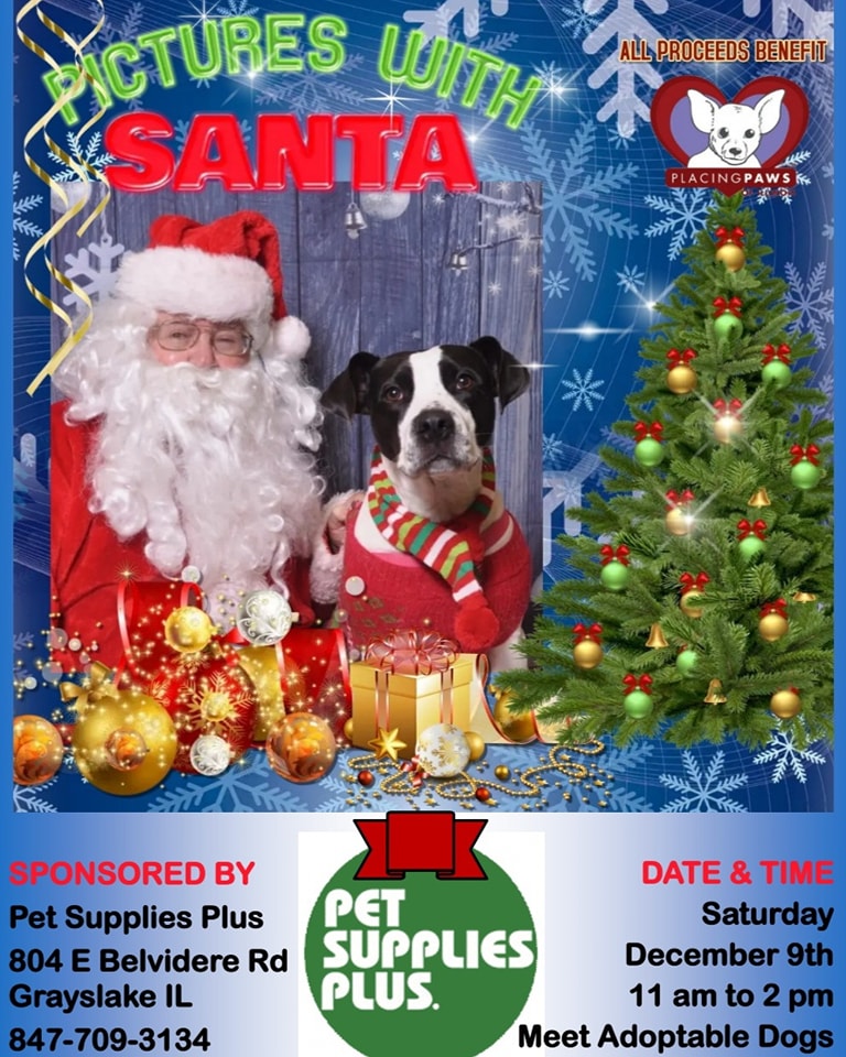 Santa Pictures Pet Supplies Plus 12 9 23 Placing Paws