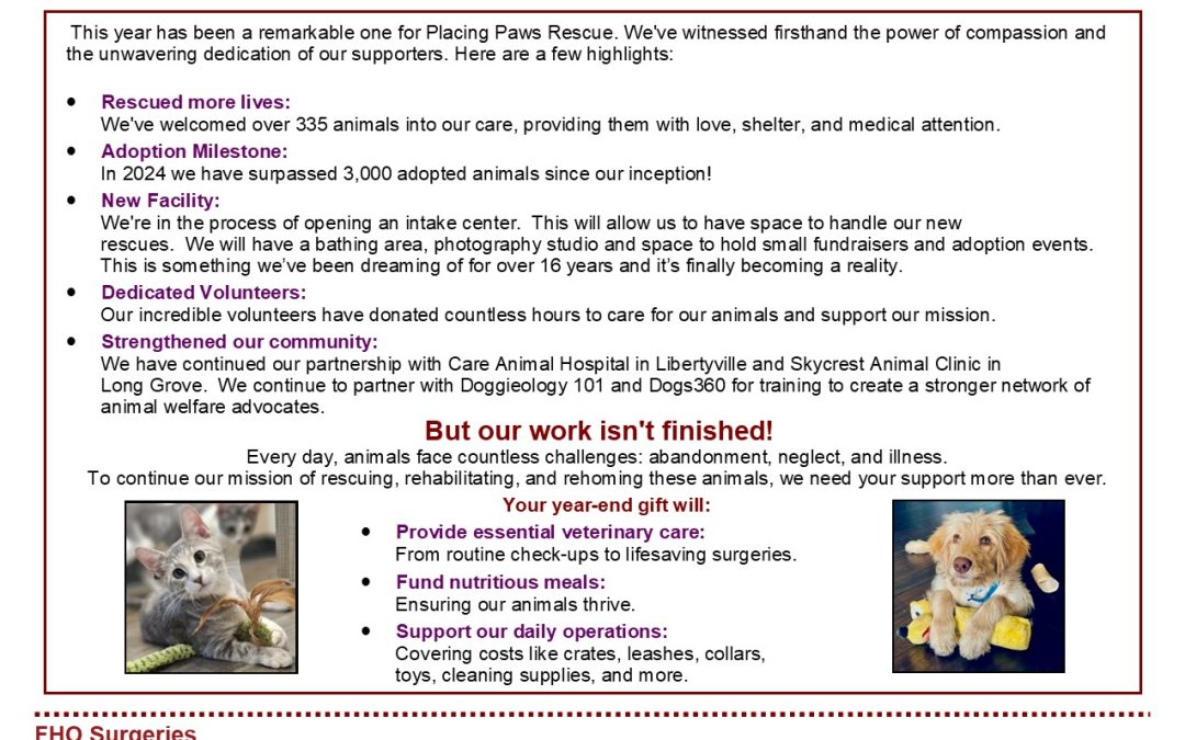 2024 Year End Newsletter